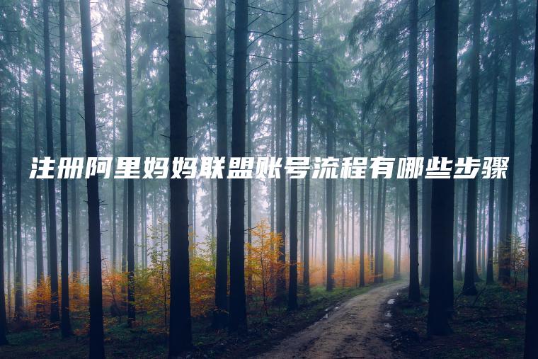 注册阿里妈妈联盟账号流程有哪些步骤 注册阿里妈妈联盟账号流程有哪些步骤