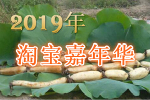 2019淘宝嘉年华【零食行业分会场】招商规则是什么？