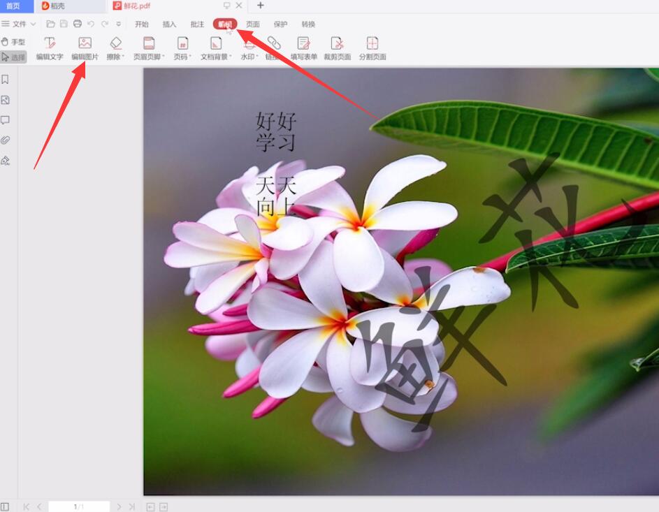 如何对pdf图片进行编辑(1)