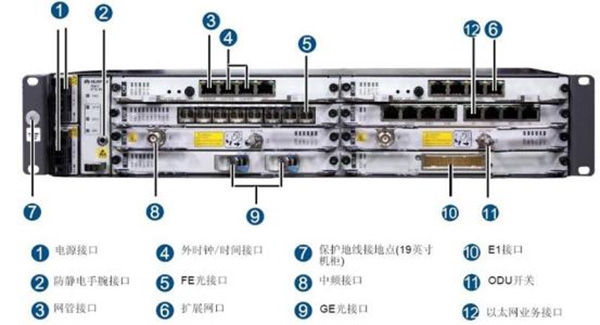 ptn是什么