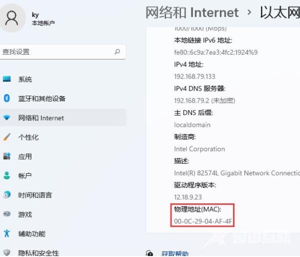 Win11怎么查MAC地址