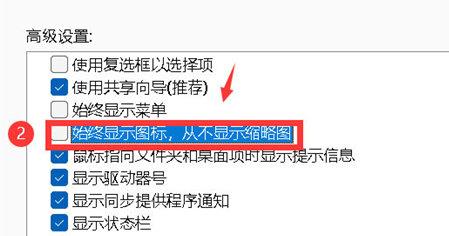 Win11如何开启文件夹缩略图？