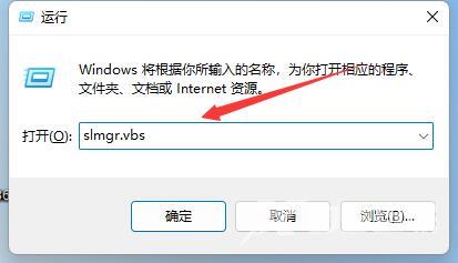 Win11如何查看激活信息？