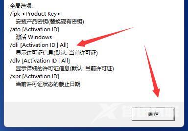 Win11如何查看激活信息？