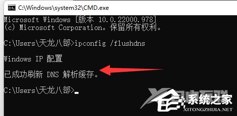 Win11系统dns异常无法上网怎么办？