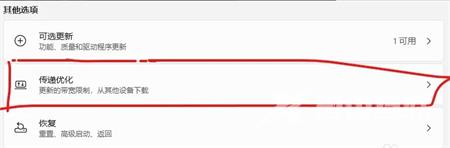 Win11关闭传递优化的方法