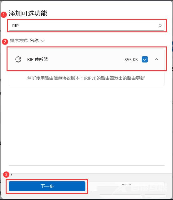 Win11安装RIP侦听器的方法