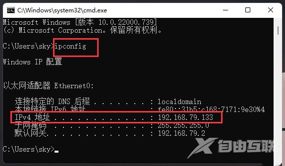 Win11网络地址ping测试