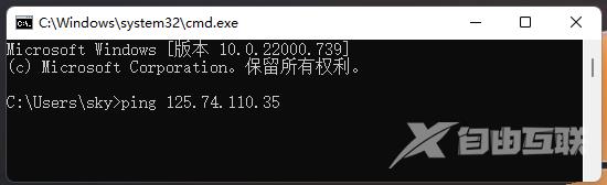 Win11网络地址ping测试