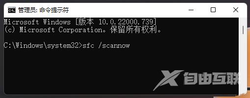 Win11系统内核错误解决方法