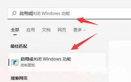 Win11安装wsa的方法