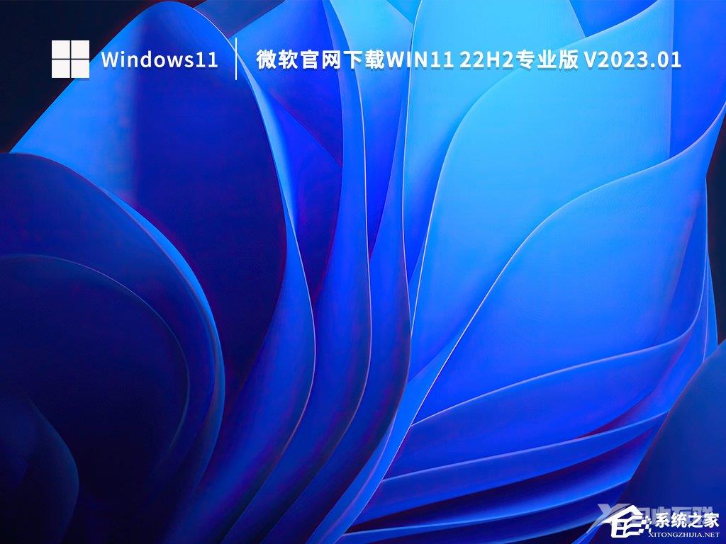 微软Win11专业版(22H2)