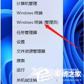 Win11系统vbs关闭窗口代码是什么？Win1