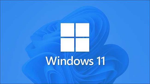 Win11更新后进入安全模式闪屏怎么办