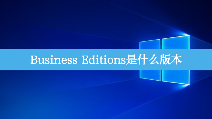 Business Editions是什么版本？