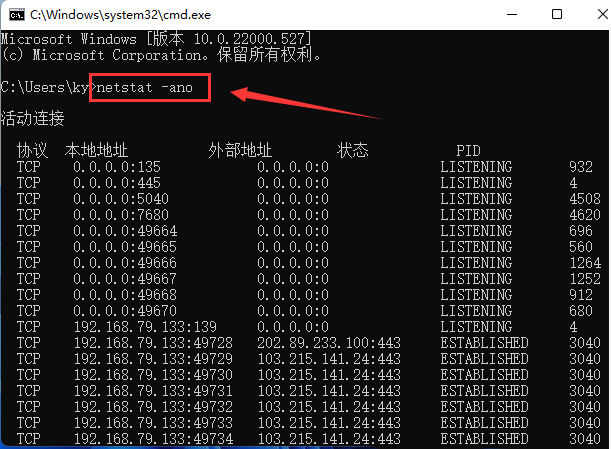 Win11查找指定端口信息的技巧