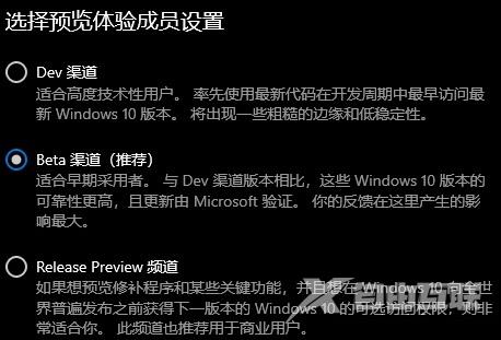 Win11预览成员选哪个？Win11预览体验成员设置选项介绍