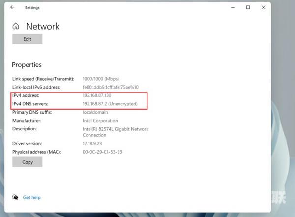 Win11怎么查看IP地址？Windows11查看IP地址的方法