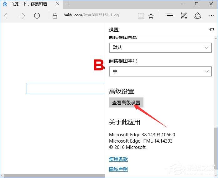 Win10提示“点击即可启用adobe flash p