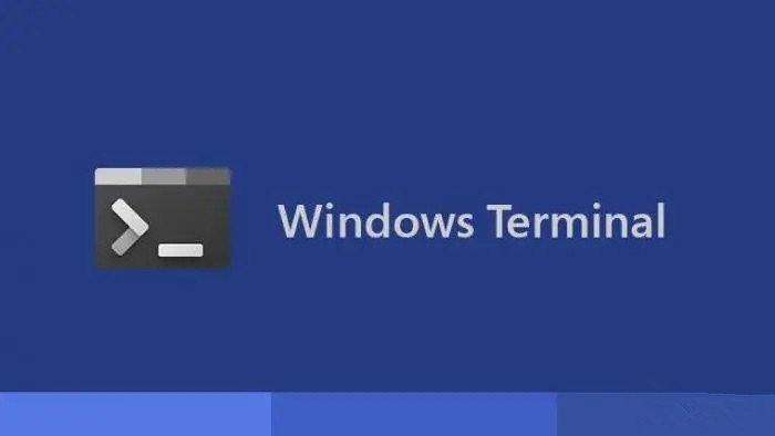 Windows Terminal可以卸载