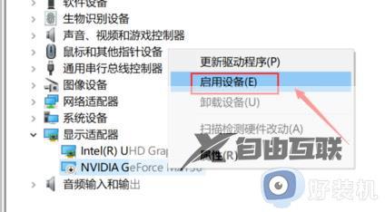 为什么右键没有nvidia控制面板_桌面右键没有nvidia控制面板解决方法