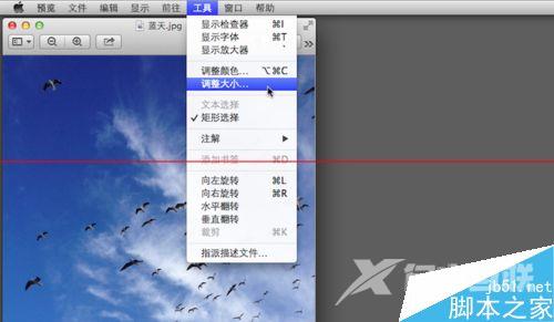 苹果电脑Macbook怎么调整图像的大小？