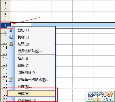 在excel2003中如何隐藏显示行与列的方法