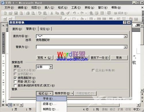 如何在Word2003中使用通配符进行模糊替换