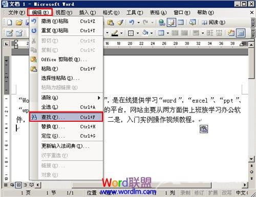 如何在Word2003中使用通配符进行模糊替换