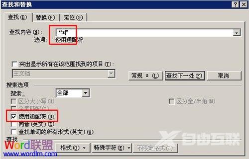 如何在Word2003中使用通配符进行模糊替换