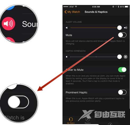 AppleWatch铃声和提醒怎么设置静音?