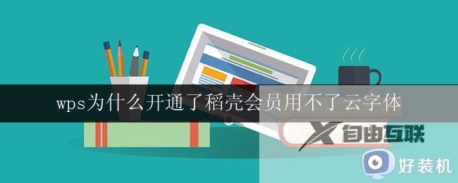 wps为什么开通了稻壳会员用不了云字体 wps稻壳会员云字体无法使用原因