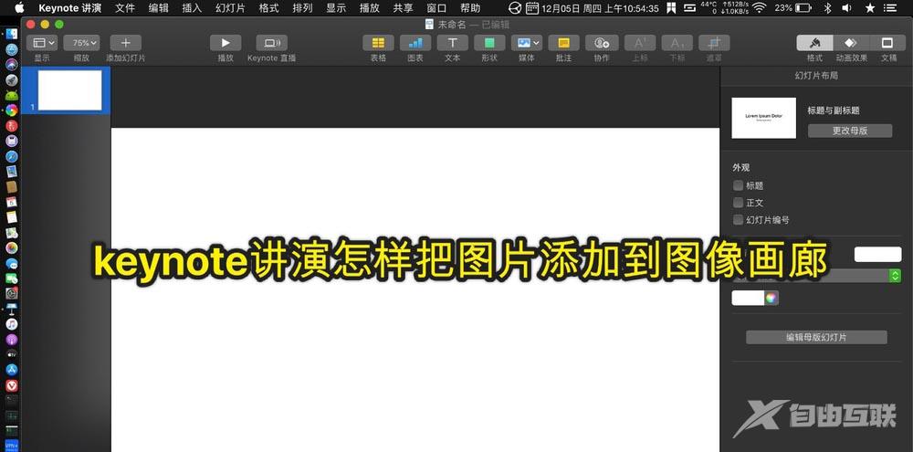 keynote讲演文件怎么将图片添加到图像画廊?