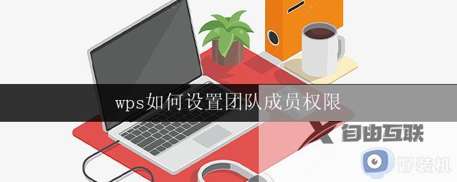 wps如何设置团队成员权限 如何在wps中设置团队成员的权限