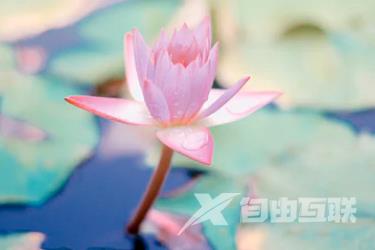 抖音巨量千川注册步骤有哪些.png 抖音巨量千川注册步骤有哪些.png