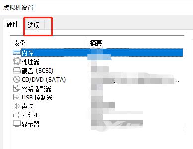 VMware Workstation怎么启用VNC连接？VMware Workstation启用VNC连接教程截图