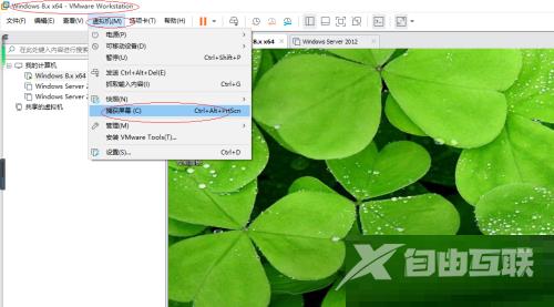 VMware Workstation怎么截屏？VMware Workstation截屏教程截图