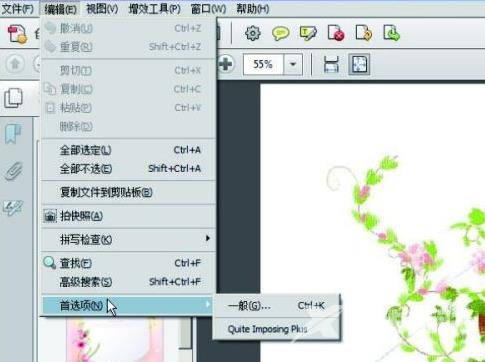 adobe acrobat x pro怎么将尺寸显示出来？adobe acrobat x pro将尺寸显示出来的方法截图