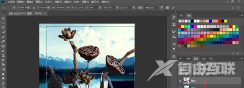 photoshop cc 2018中如何更换背景？photoshop cc 2018如何更换背景的方法截图