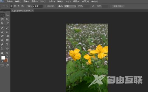 photoshop cs6如何关闭照片？photoshop cs6关闭照片的方法