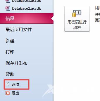 access2010怎么开启使用回历？access2010开启使用回历的方法截图