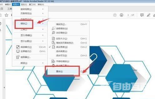 Adobe Acrobat Reader DC如何设置重排？Adobe Acrobat Reader DC设置重排的方法截图