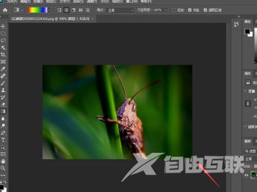 photoshop2020如何新建图层？photoshop2020新建图层的方法