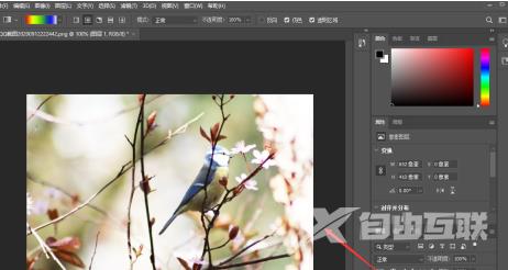 photoshop2020怎么样调整亮度？photoshop2020调整亮度的方法截图