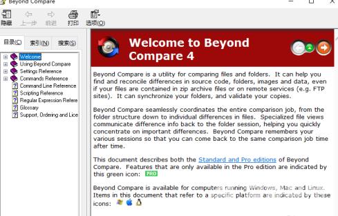 Beyond Compare怎么打开帮助文档？Beyond Compare打开帮助文档的方法截图