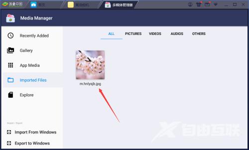 BlueStacks如何导入电脑图片?BlueStacks导入电脑图片的方法截图