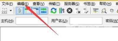 FileZilla怎么允许续传ASCII文件？FileZilla允许续传ASCII文件教程截图