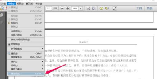 Adobe ReaderXI如何添加书签功能?Adobe ReaderXI添加书签功能的方法截图