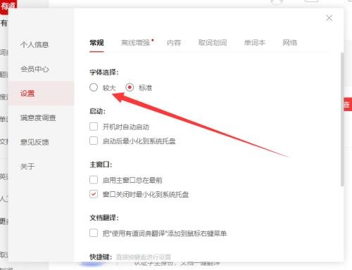 有道词典如何设置较大字体?有道词典设置较大字体的方法截图