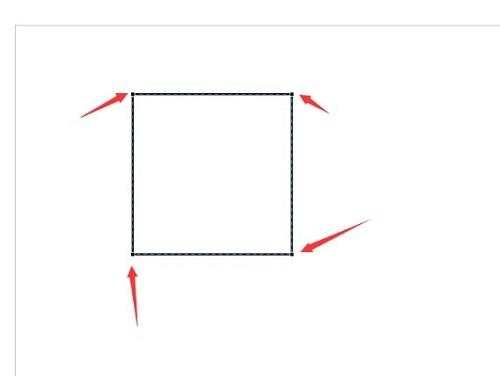 CorelDraw2020怎么绘制圆角矩形?CorelDraw2020绘制圆角矩形的方法截图